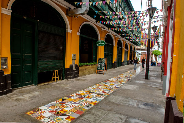 Lima Bike Tour with Lima Bici trilingual guide